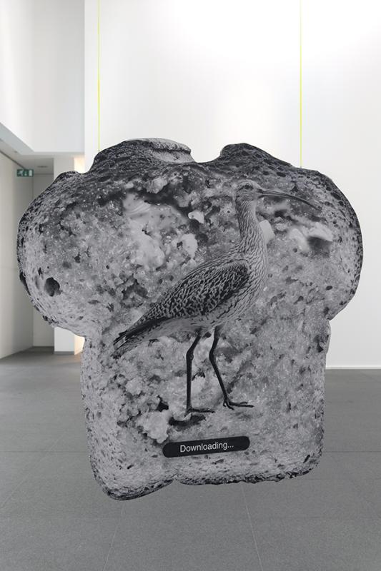 Curlewtoast, print on Eco-Board, 158 x 188,3 x 1,6 cm, 2024
